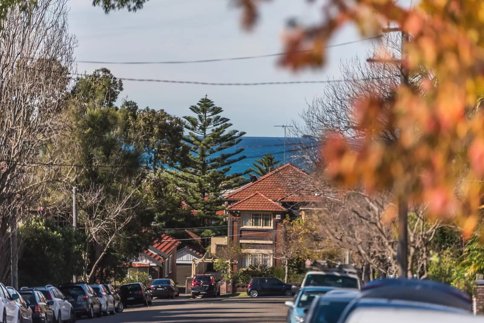 8 Mears Avenue, Randwick Sold by Sydney Sotheby's International Realty - image 18