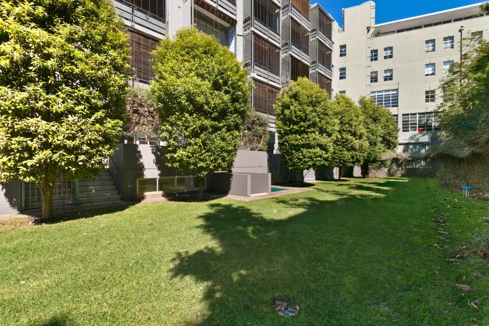 29/15-19 Boundary Street, Rushcutters Bay Sold by Sydney Sotheby's International Realty - image 7