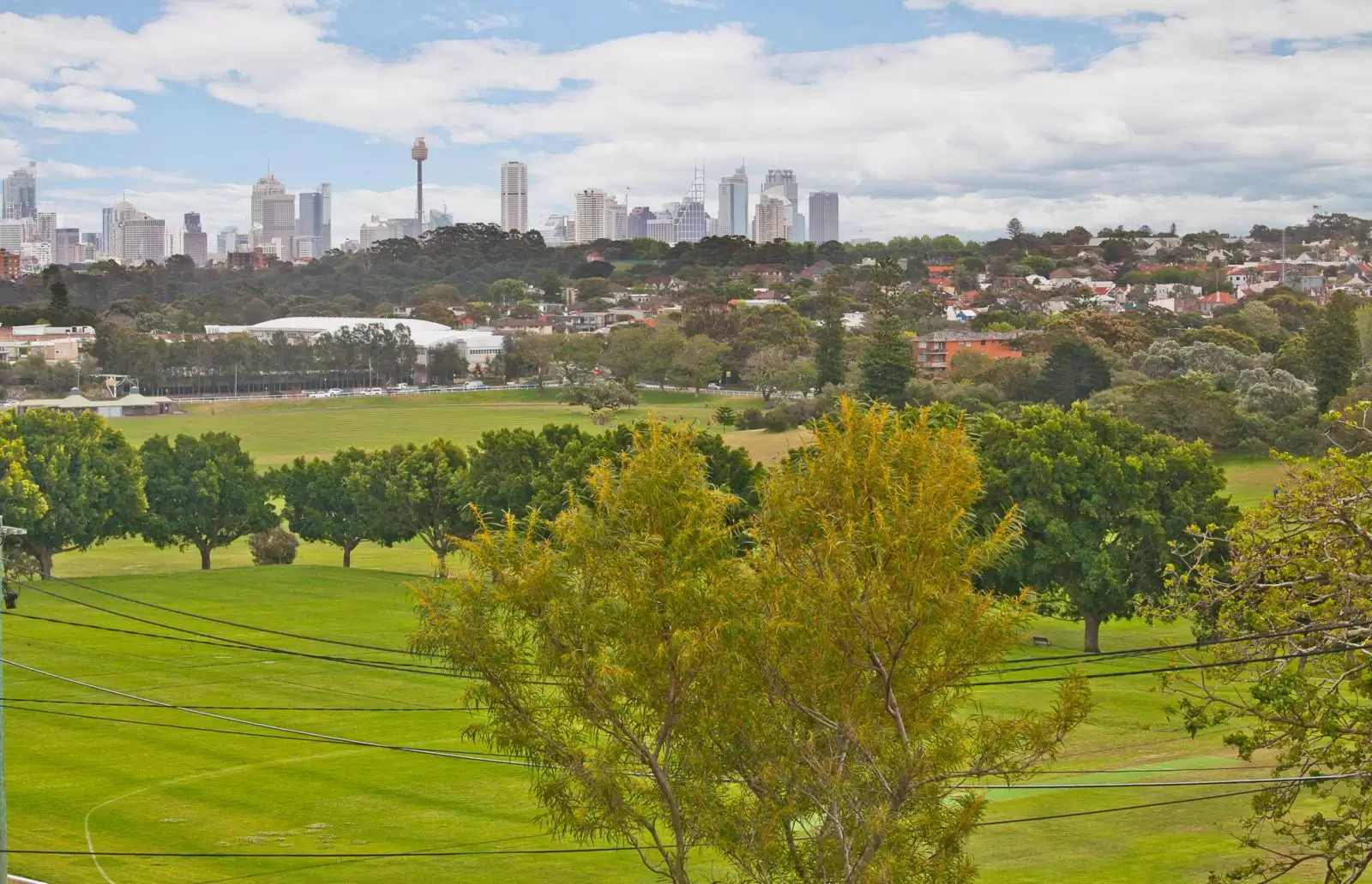 261 Darley Road, Randwick Sold by Sydney Sotheby's International Realty - image 8