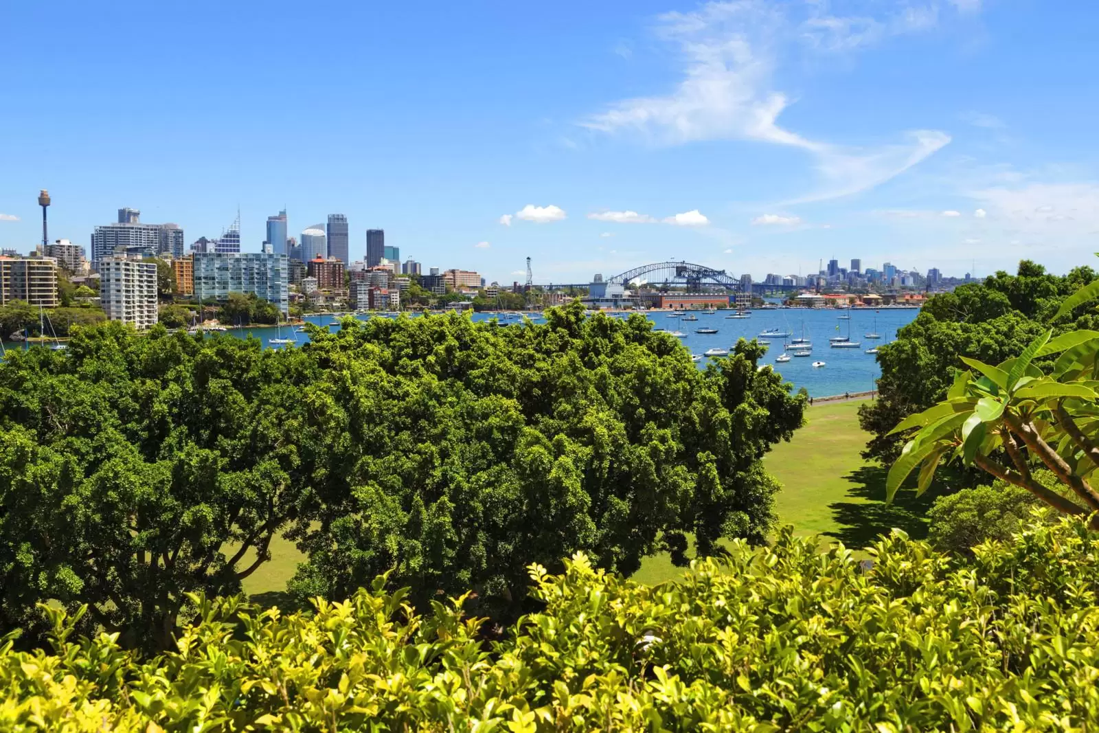 23 Yarranabbe Road, Darling Point Sold by Sydney Sotheby's International Realty - image 7