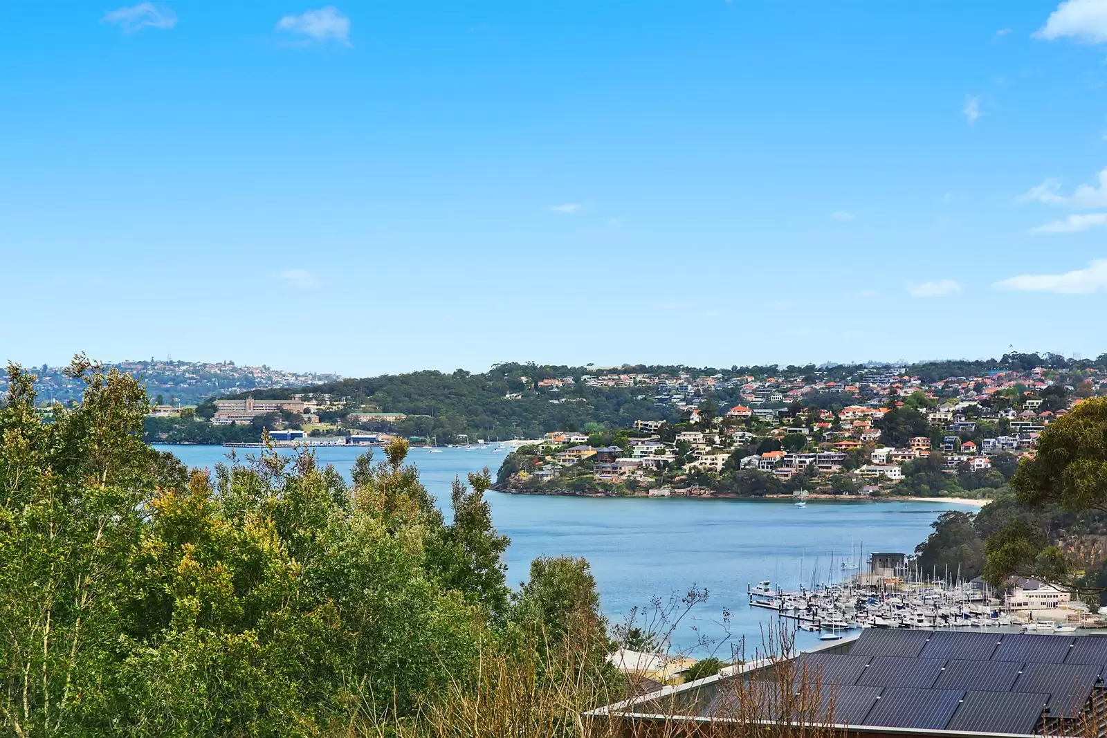 23 Ellery Parade, Seaforth Sold by Sydney Sotheby's International Realty - image 12