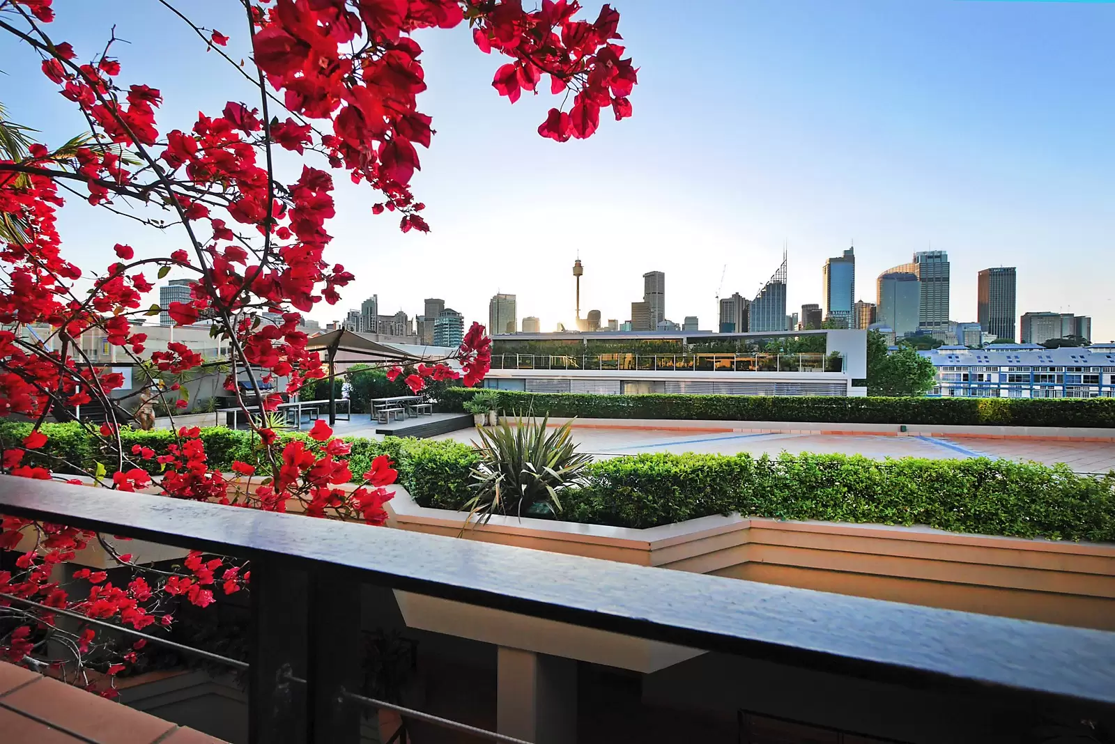49/67 Cowper Wharf Road, Woolloomooloo Sold by Sydney Sotheby's International Realty - image 11