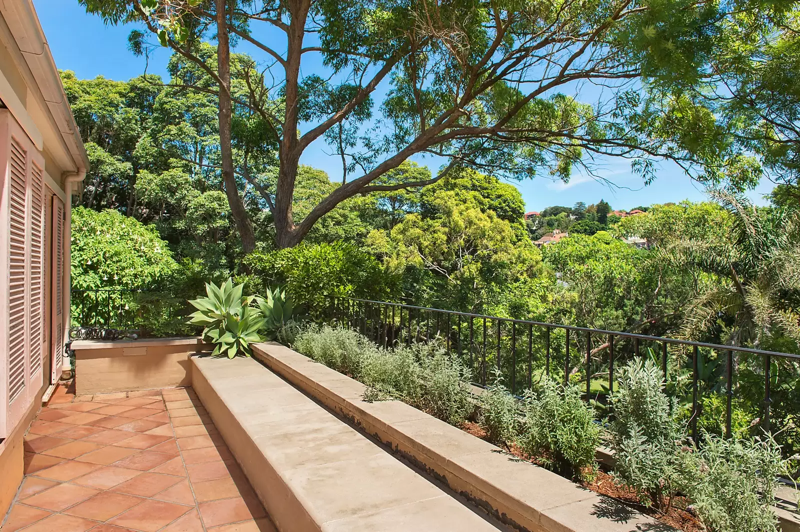 25 Suttie Road, Bellevue Hill Sold by Sydney Sotheby's International Realty - image 11