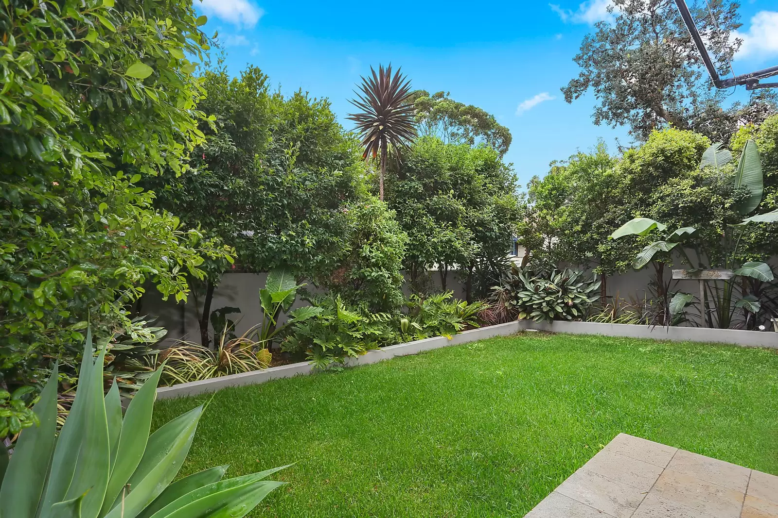158 Arden Street, Coogee Sold by Sydney Sotheby's International Realty - image 8