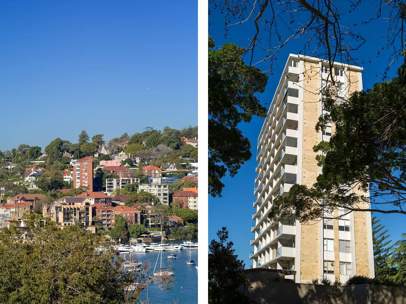 Photo #8: 1c/26 Etham Avenue, Darling Point - Sold by Sydney Sotheby's International Realty