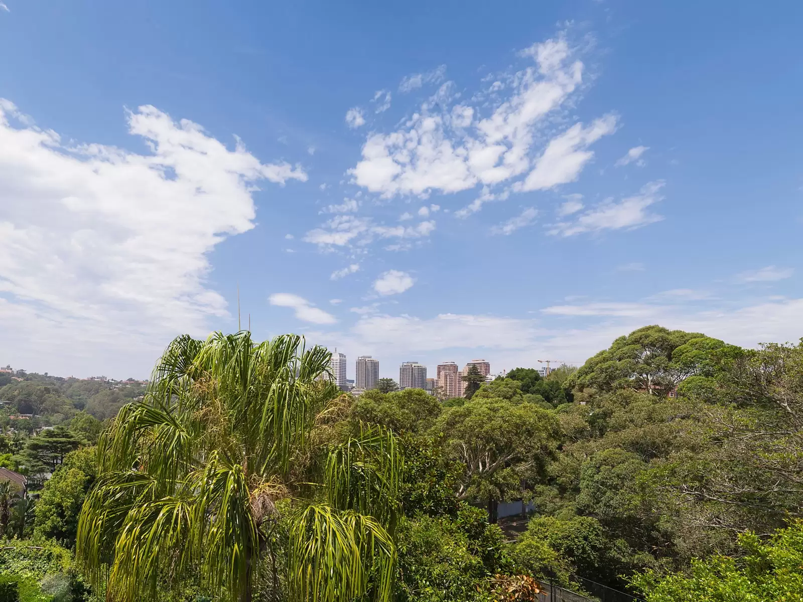 301 Edgecliff Road, Woollahra Sold by Sydney Sotheby's International Realty - image 9