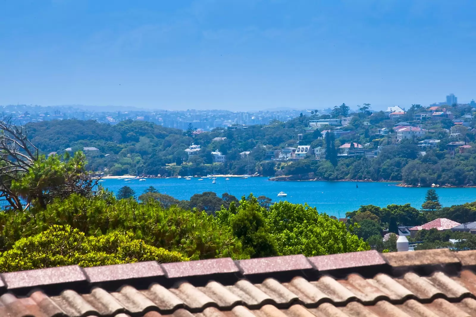 52 Benelong Crescent, Bellevue Hill Sold by Sydney Sotheby's International Realty - image 5