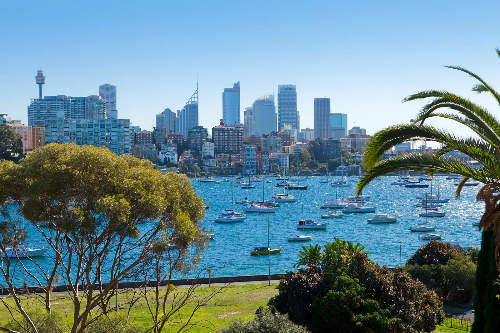 38 Yarranabbe Road, Darling Point Sold by Sydney Sotheby's International Realty - image 2