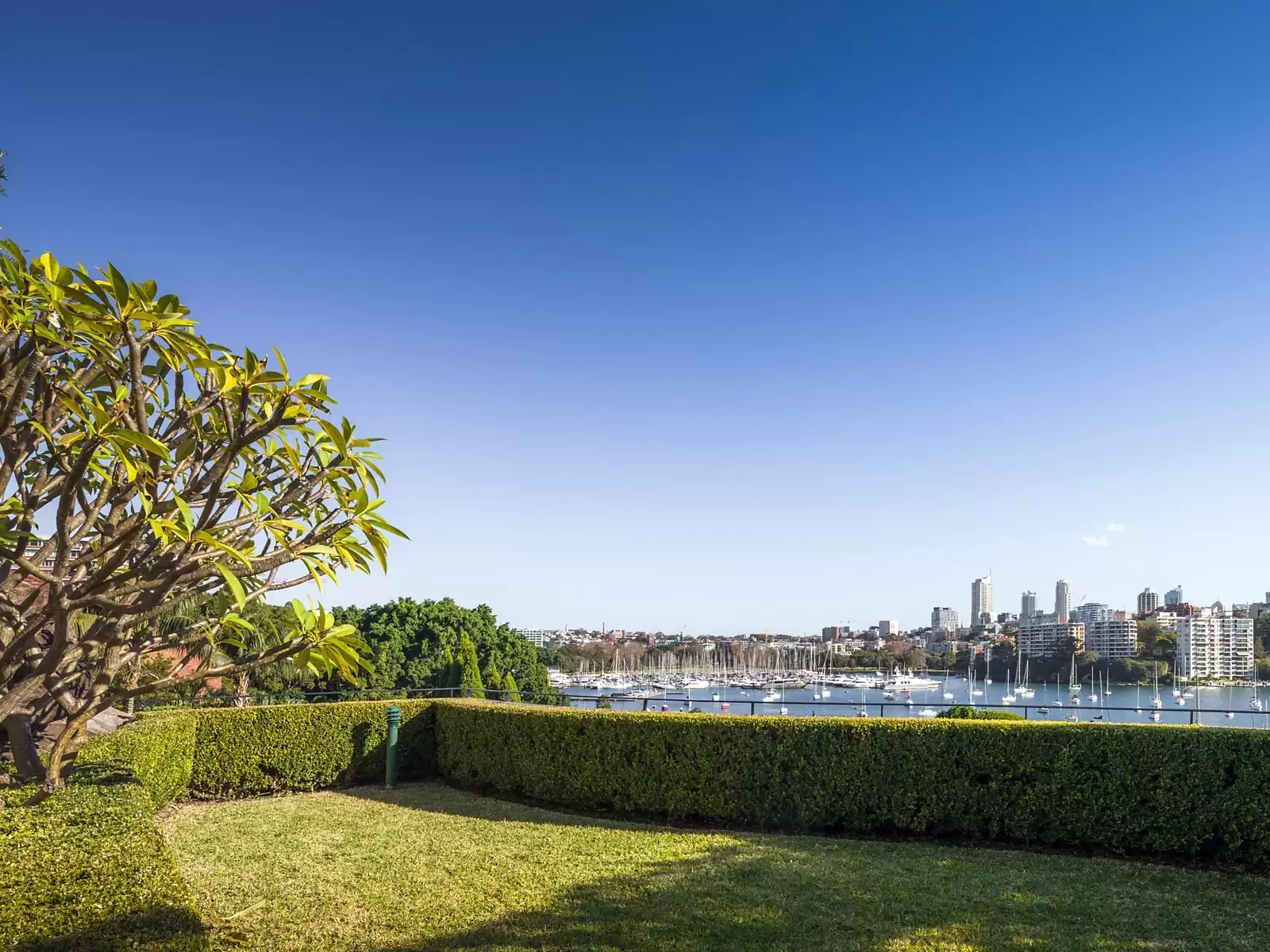 50a Yarranabbe Road, Darling Point Sold by Sydney Sotheby's International Realty - image 15