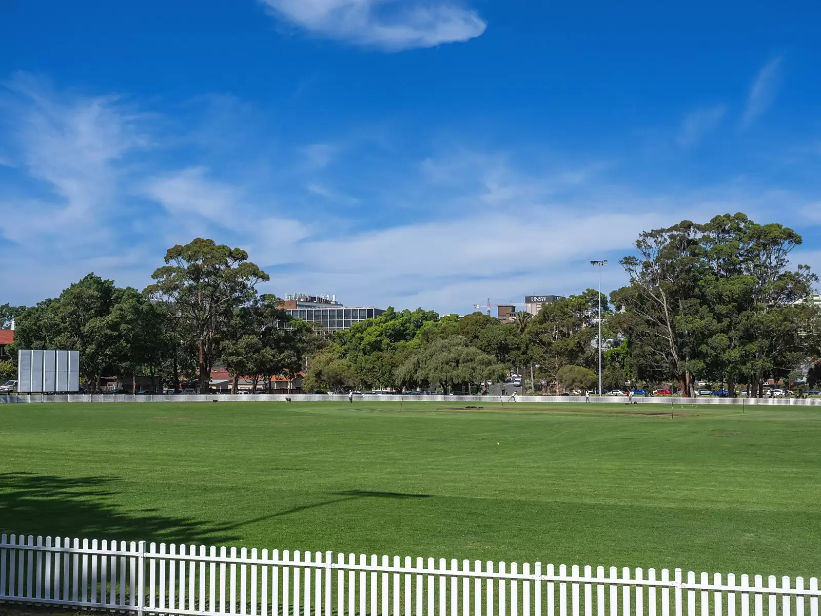 98 Cottenham Avenue, Kensington Sold by Sydney Sotheby's International Realty - image 7