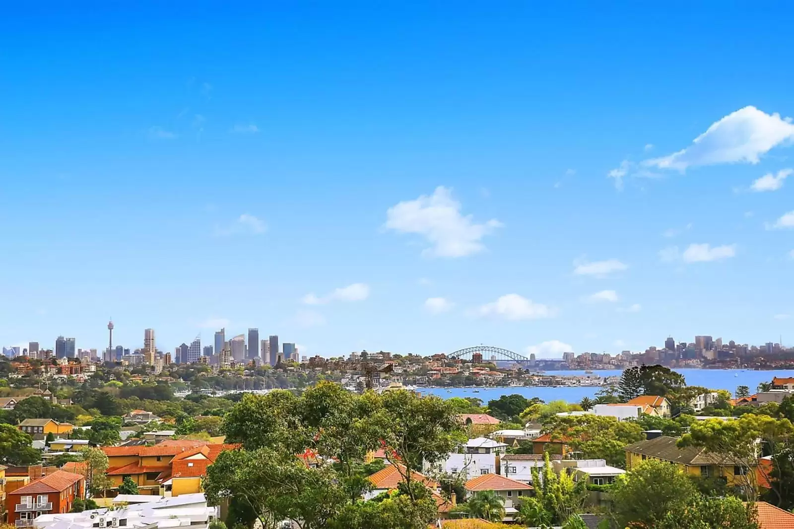 24 Strickland Street, Rose Bay Leased by Sydney Sotheby's International Realty - image 6