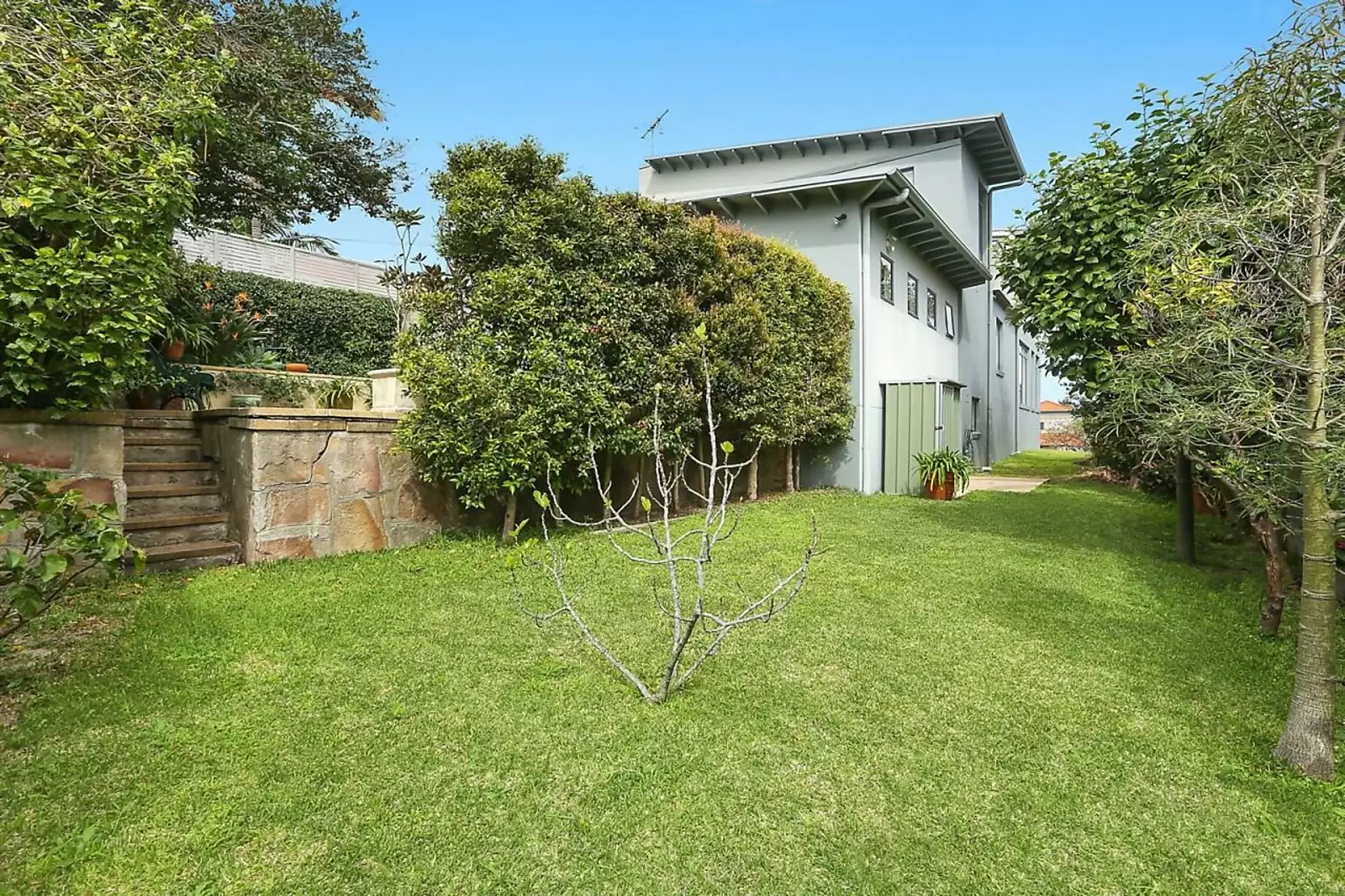 24 Strickland Street, Rose Bay Leased by Sydney Sotheby's International Realty - image 10