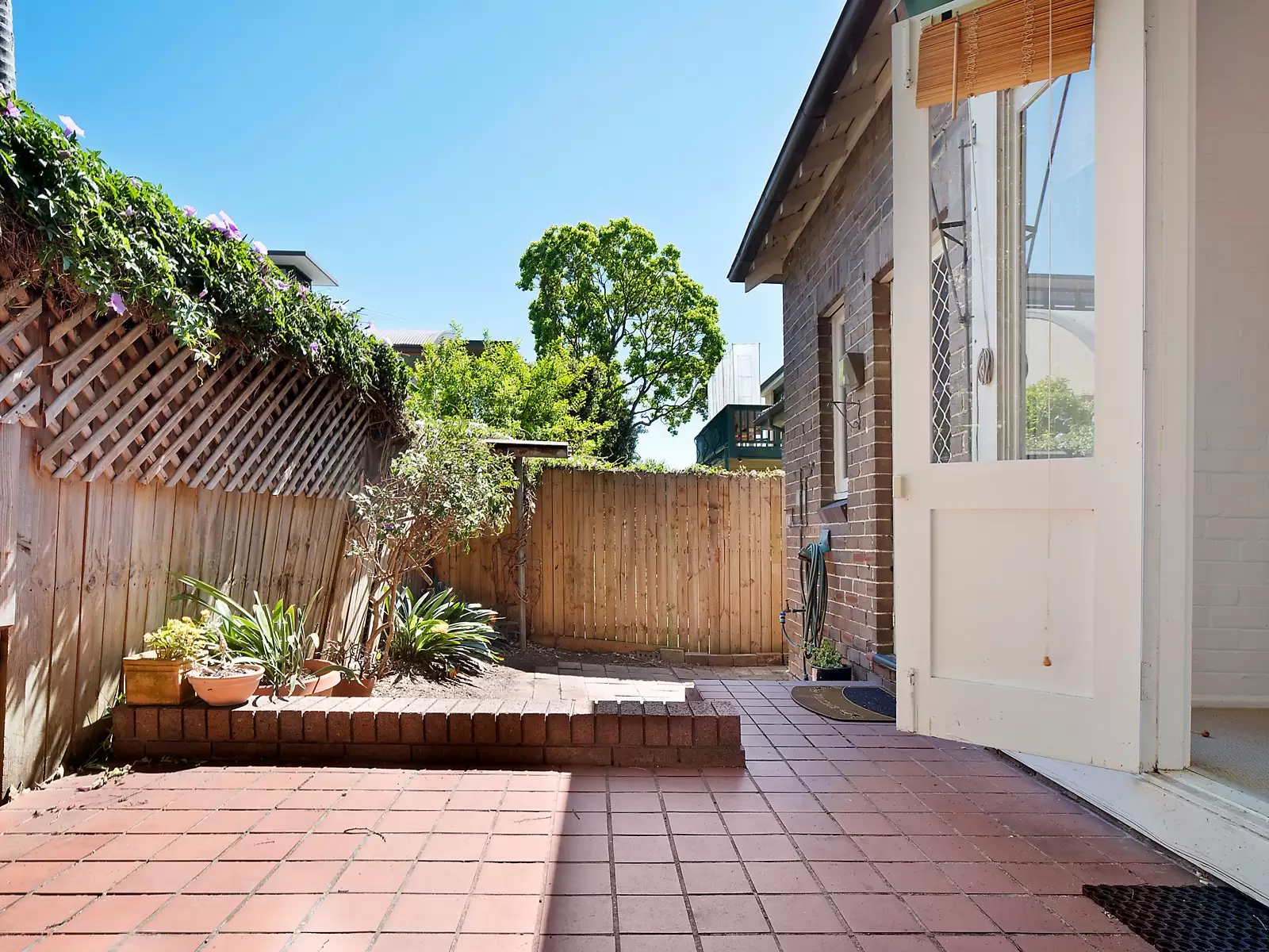 18 Alma Street, Paddington Sold by Sydney Sotheby's International Realty - image 7