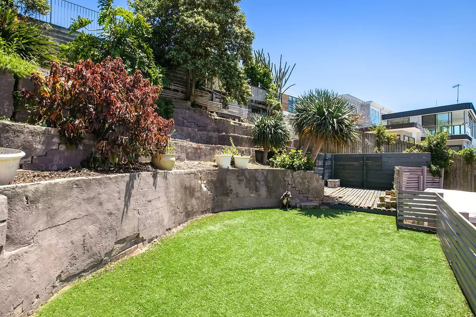 5 Ahearn Avenue, South Coogee Sold by Sydney Sotheby's International Realty - image 7