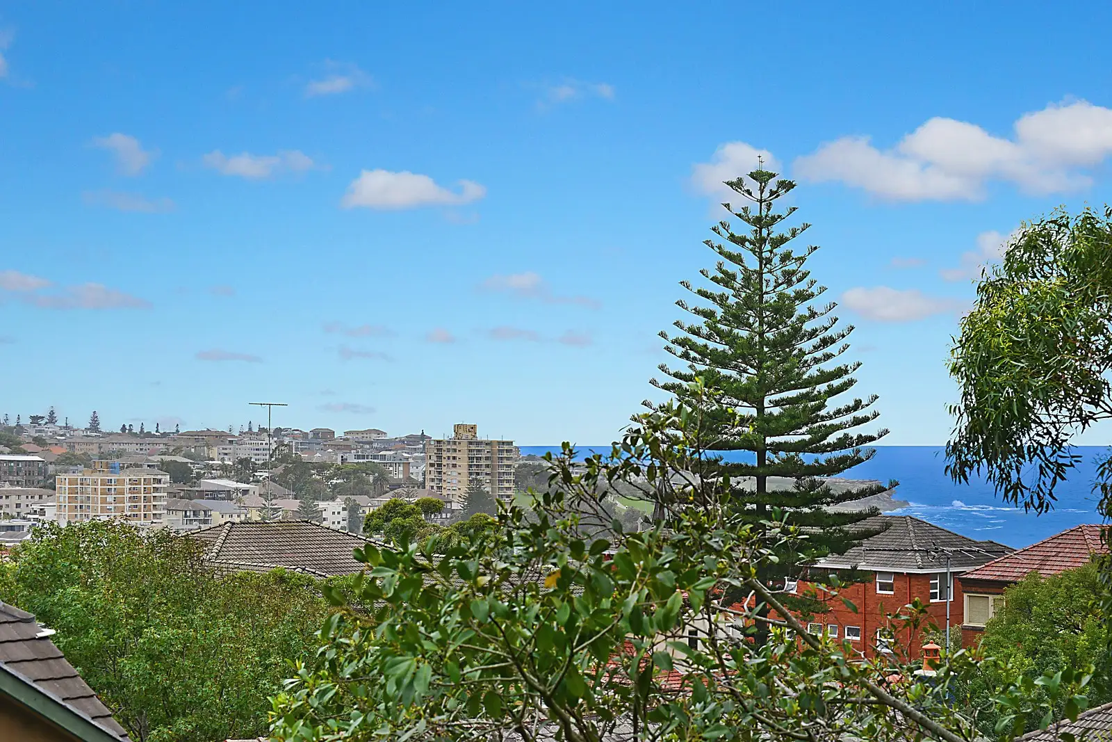 2/35a Dudley Street, Coogee Sold by Sydney Sotheby's International Realty - image 2