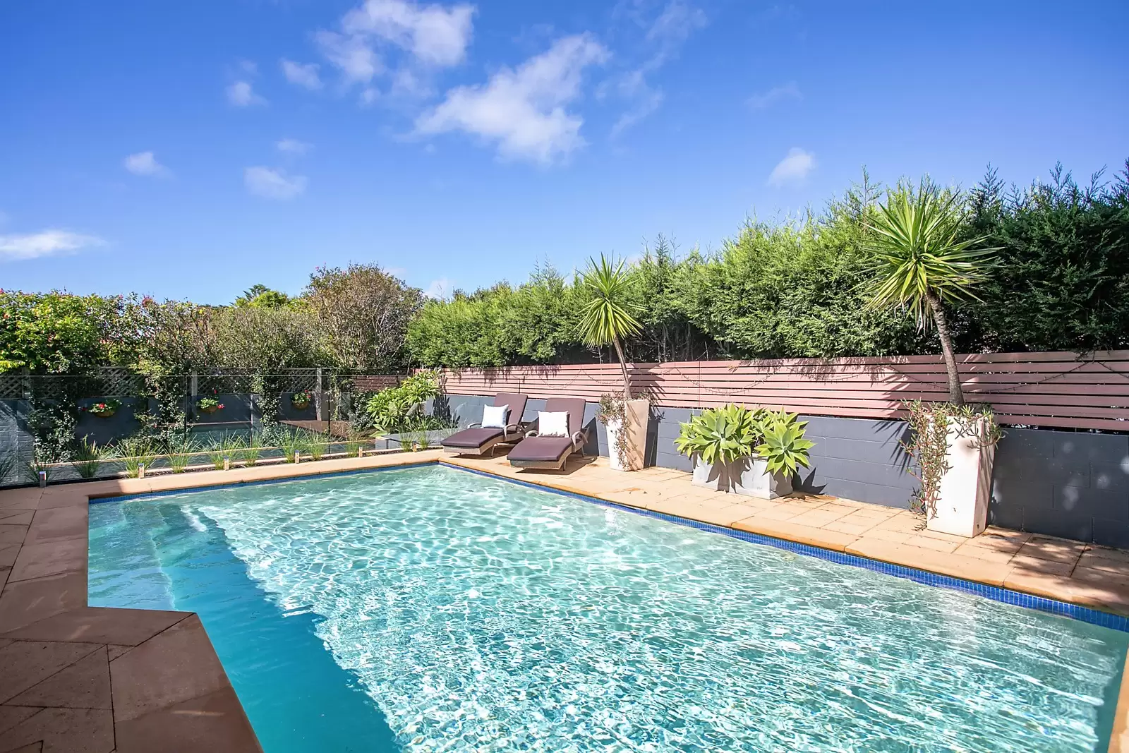 3 Nymboida Street, South Coogee Sold by Sydney Sotheby's International Realty - image 7