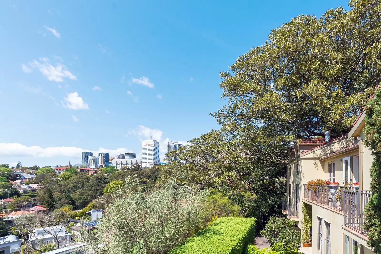 Photo #17: 31 Chester Street, Woollahra - Sold by Sydney Sotheby's International Realty