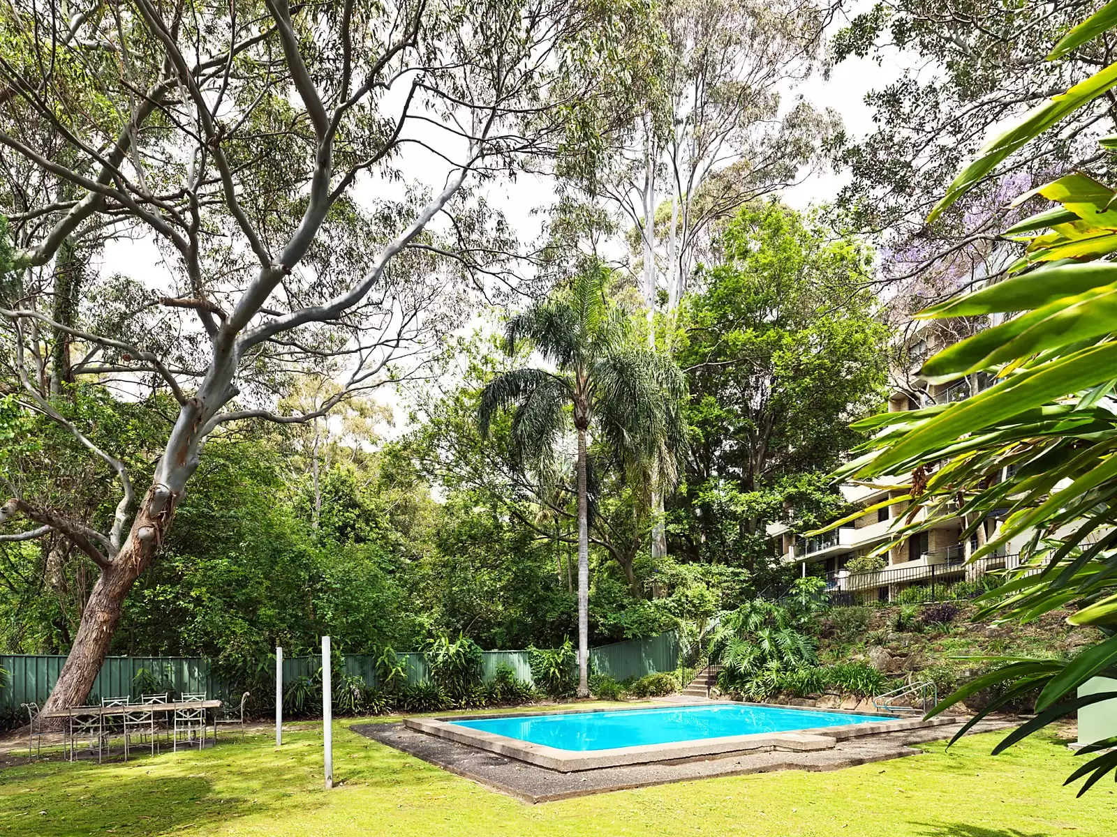 3/297-297A Edgecliff Road, Woollahra Sold by Sydney Sotheby's International Realty - image 6