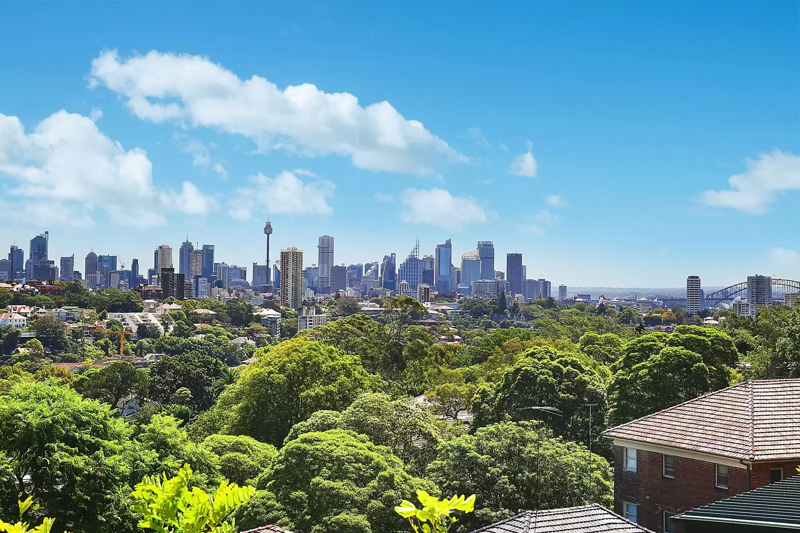 94 Bellevue Road, Bellevue Hill Sold by Sydney Sotheby's International Realty - image 10