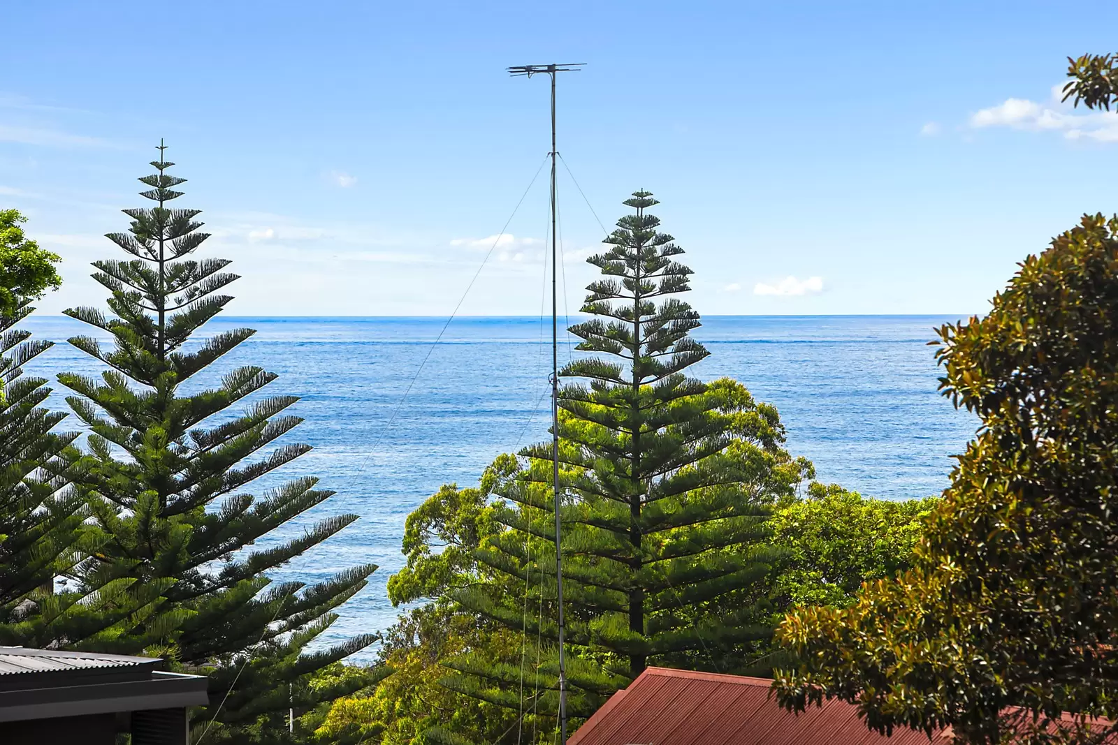 8/75 Arden Street, Coogee Sold by Sydney Sotheby's International Realty - image 3