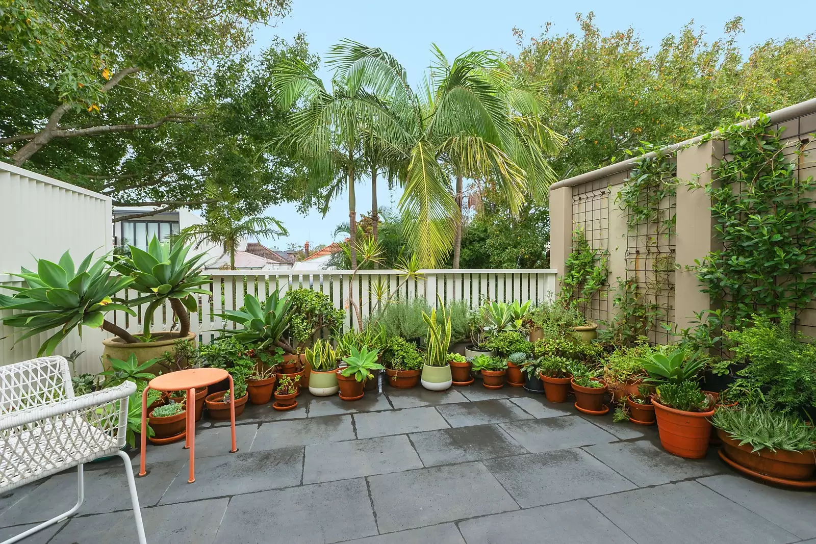 15 Searle Avenue, Randwick Sold by Sydney Sotheby's International Realty - image 7