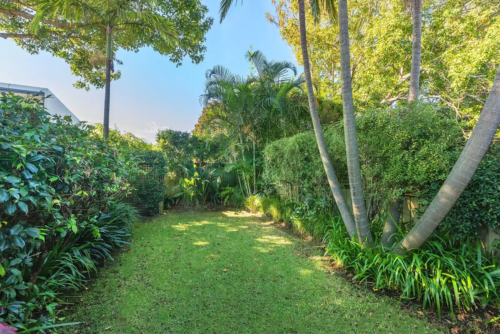 15 Searle Avenue, Randwick Sold by Sydney Sotheby's International Realty - image 16