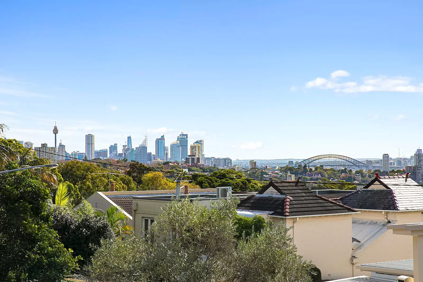 51 Edgecliff Road, Woollahra Sold by Sydney Sotheby's International Realty - image 7
