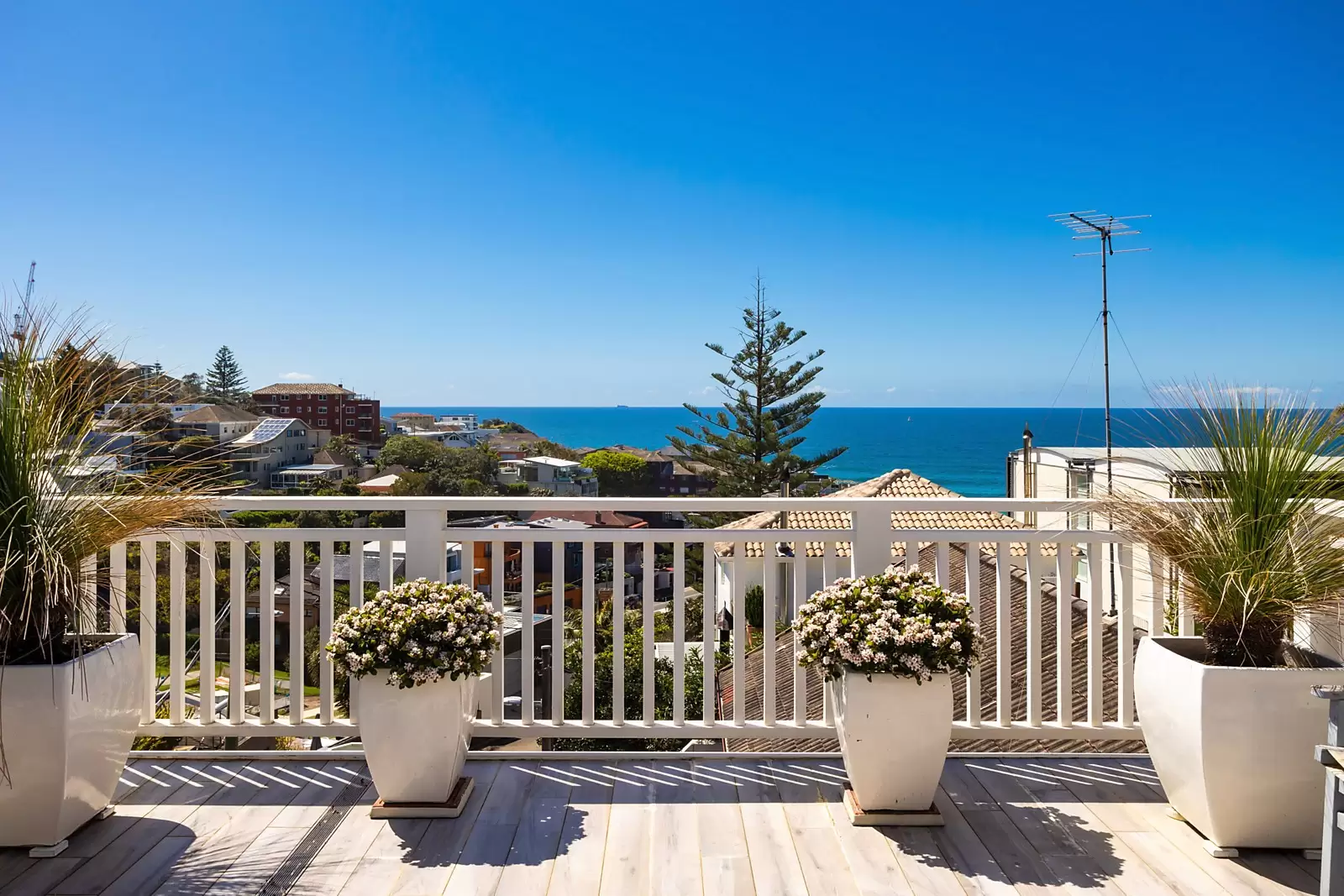 22 Wolaroi Crescent, Tamarama Sold by Sydney Sotheby's International Realty - image 19