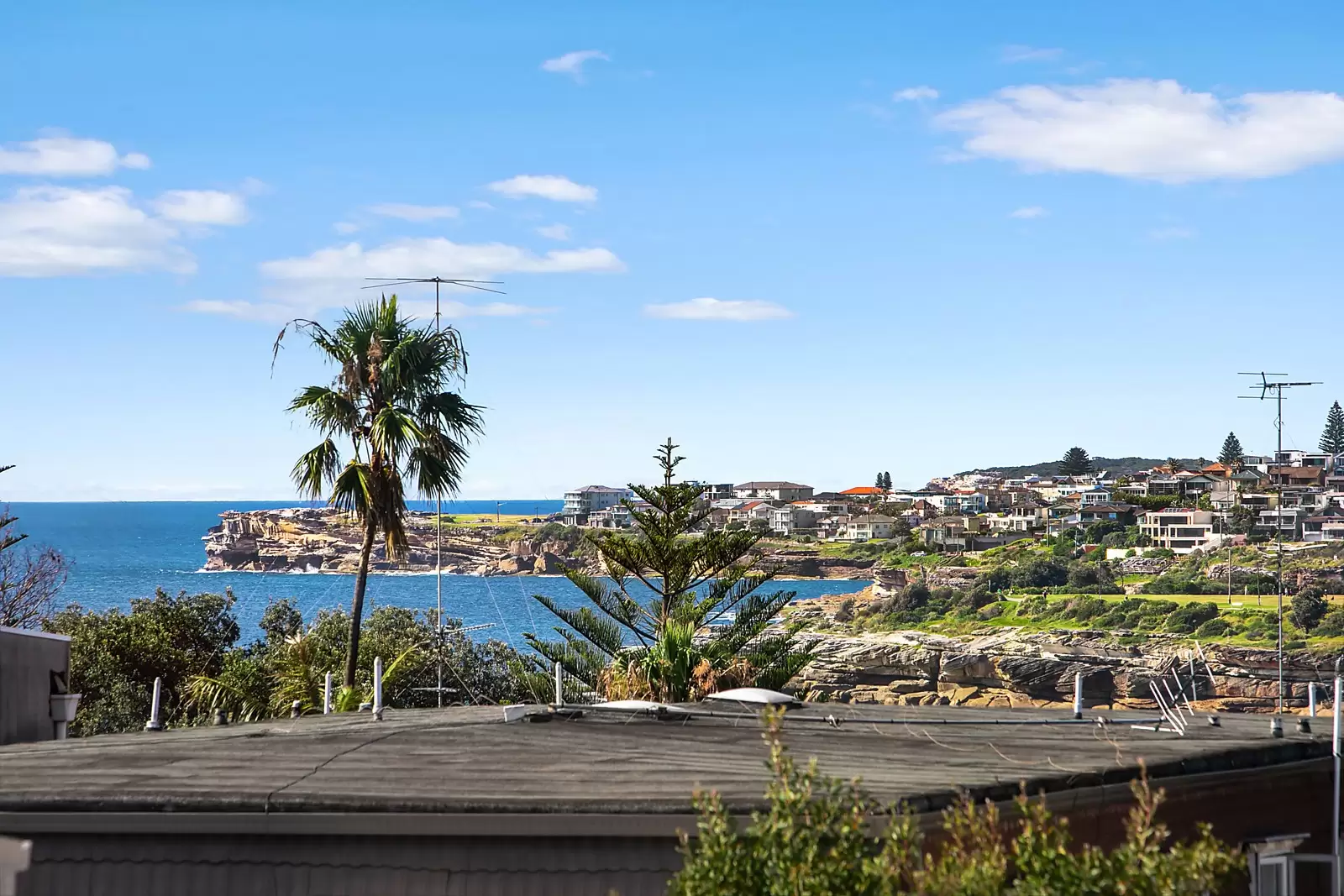 93 Beach Street, Coogee Sold by Sydney Sotheby's International Realty - image 1