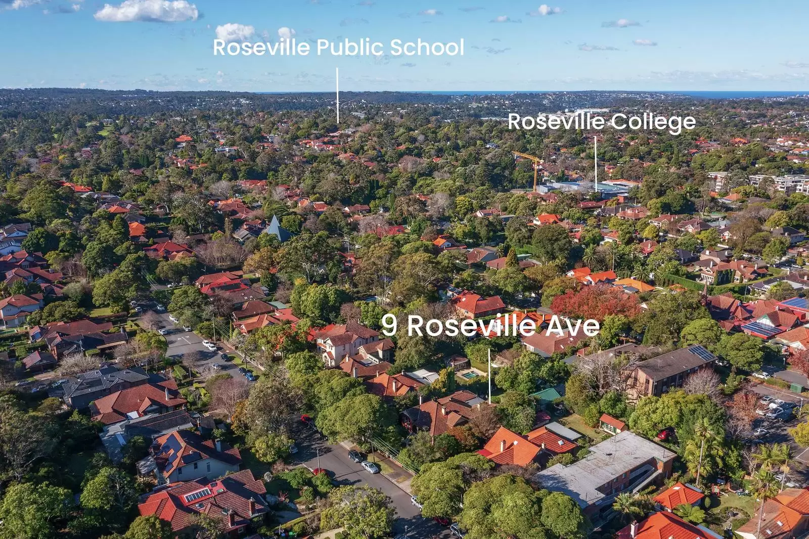 Photo #19: 9 Roseville Avenue, Roseville - Sold by Sydney Sotheby's International Realty