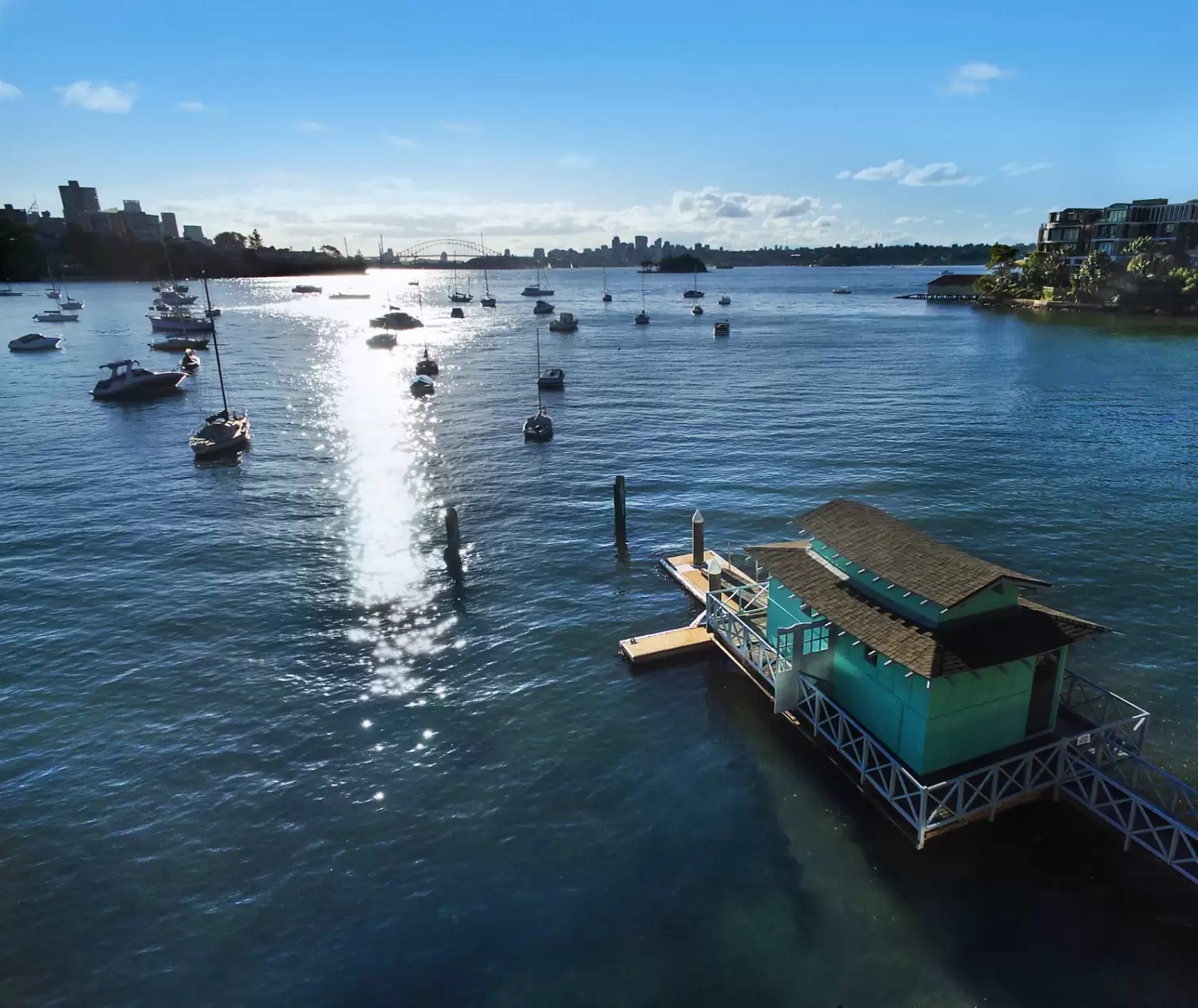 20 Wolseley Road, Point Piper Sold by Sydney Sotheby's International Realty - image 7