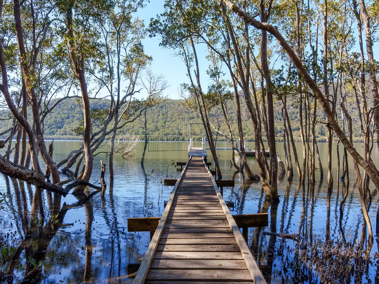 2 Gentlemans Halt Via Canoelands, Berowra Waters For Sale by Sydney Sotheby's International Realty - image 19