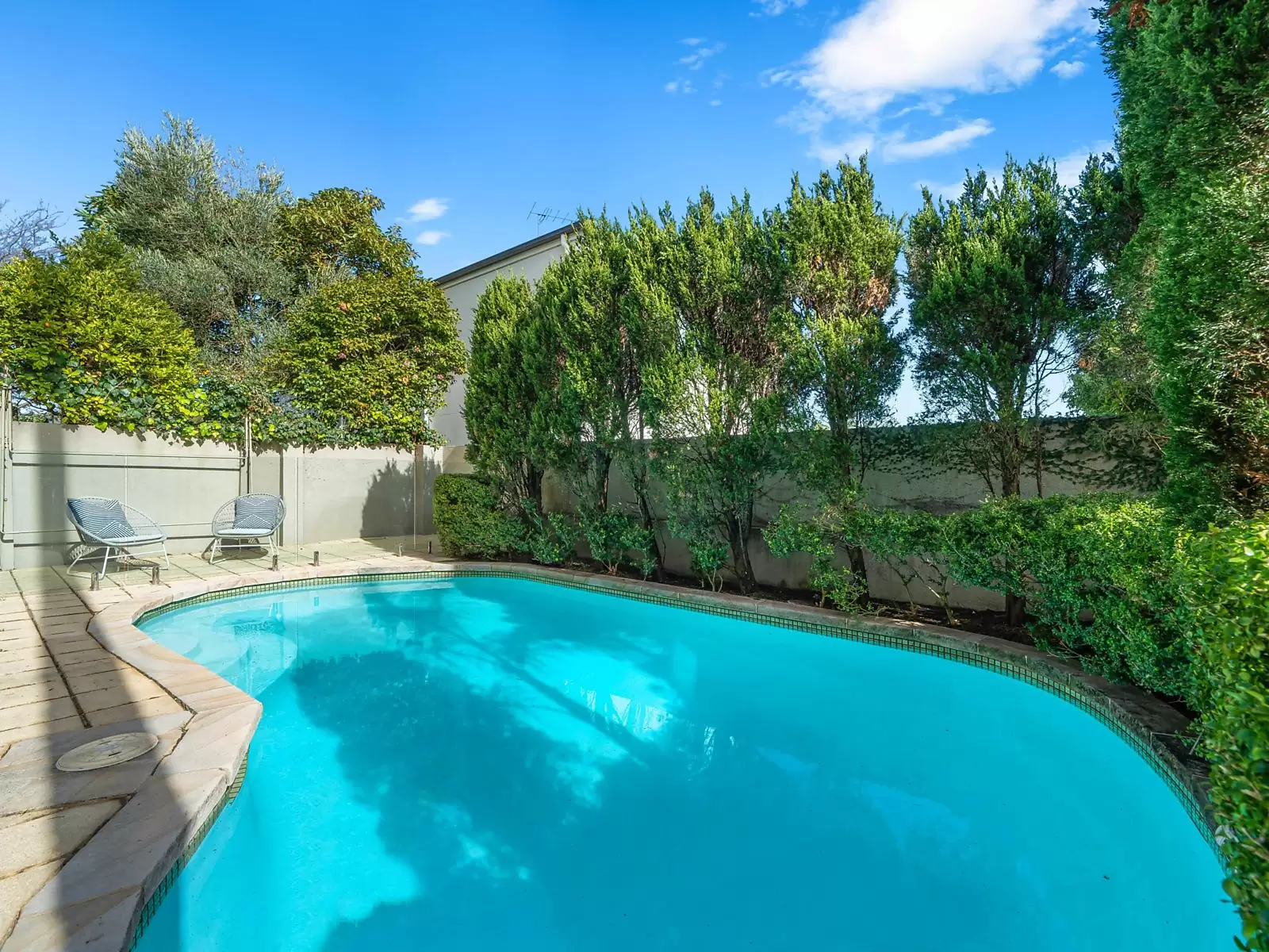 196 Military Road, Dover Heights Sold by Sydney Sotheby's International Realty - image 13