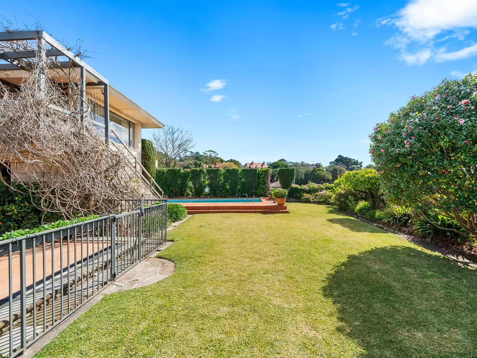 24A Drumalbyn Road, Bellevue Hill For Sale by Sydney Sotheby's International Realty - image 1