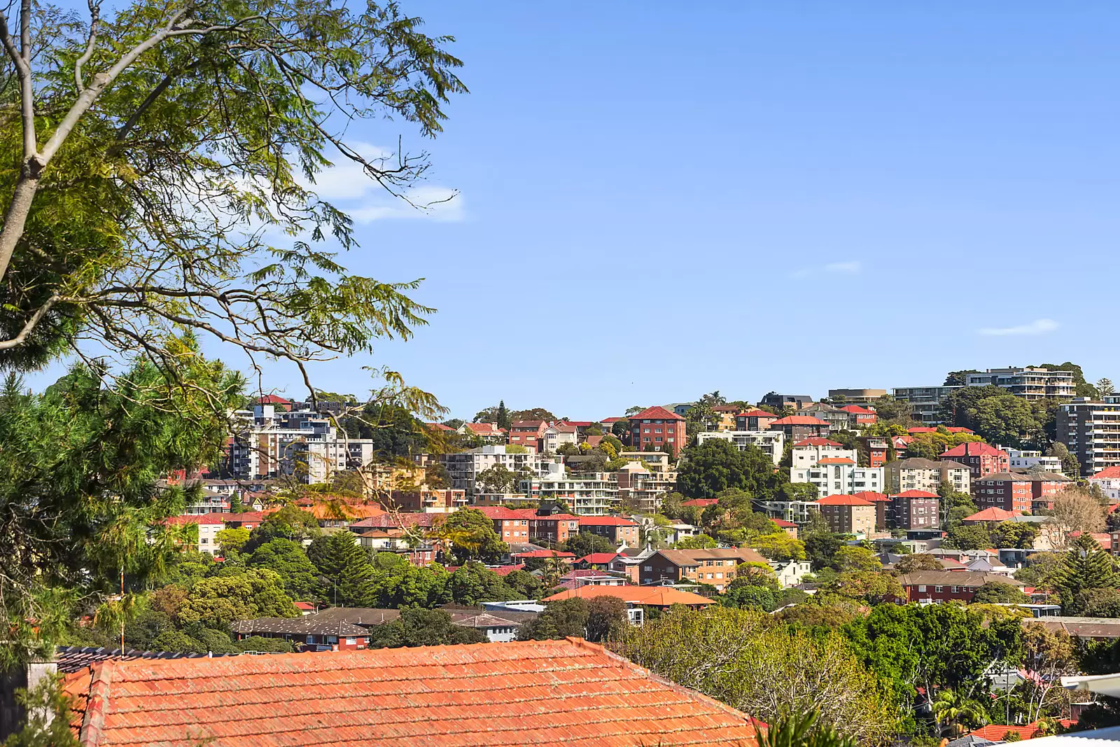 55 Brook Street, Coogee Sold by Sydney Sotheby's International Realty - image 9
