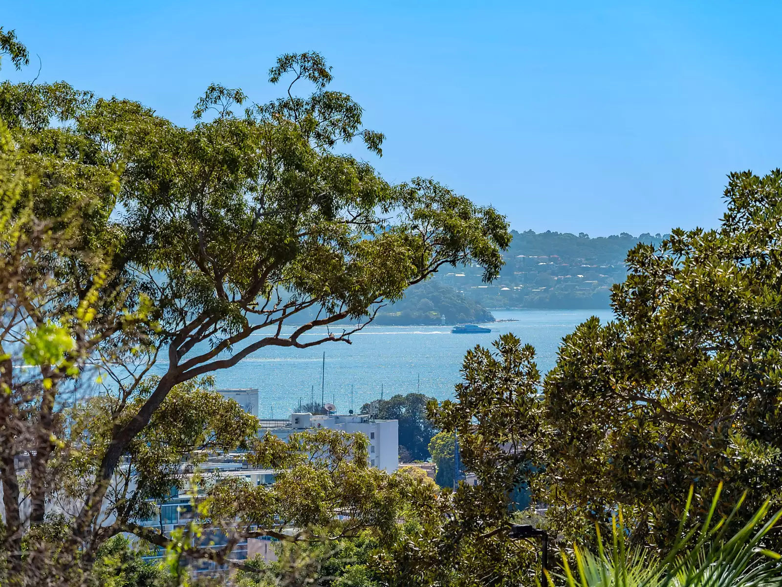 13/321 Edgecliff Road, Woollahra Sold by Sydney Sotheby's International Realty - image 1