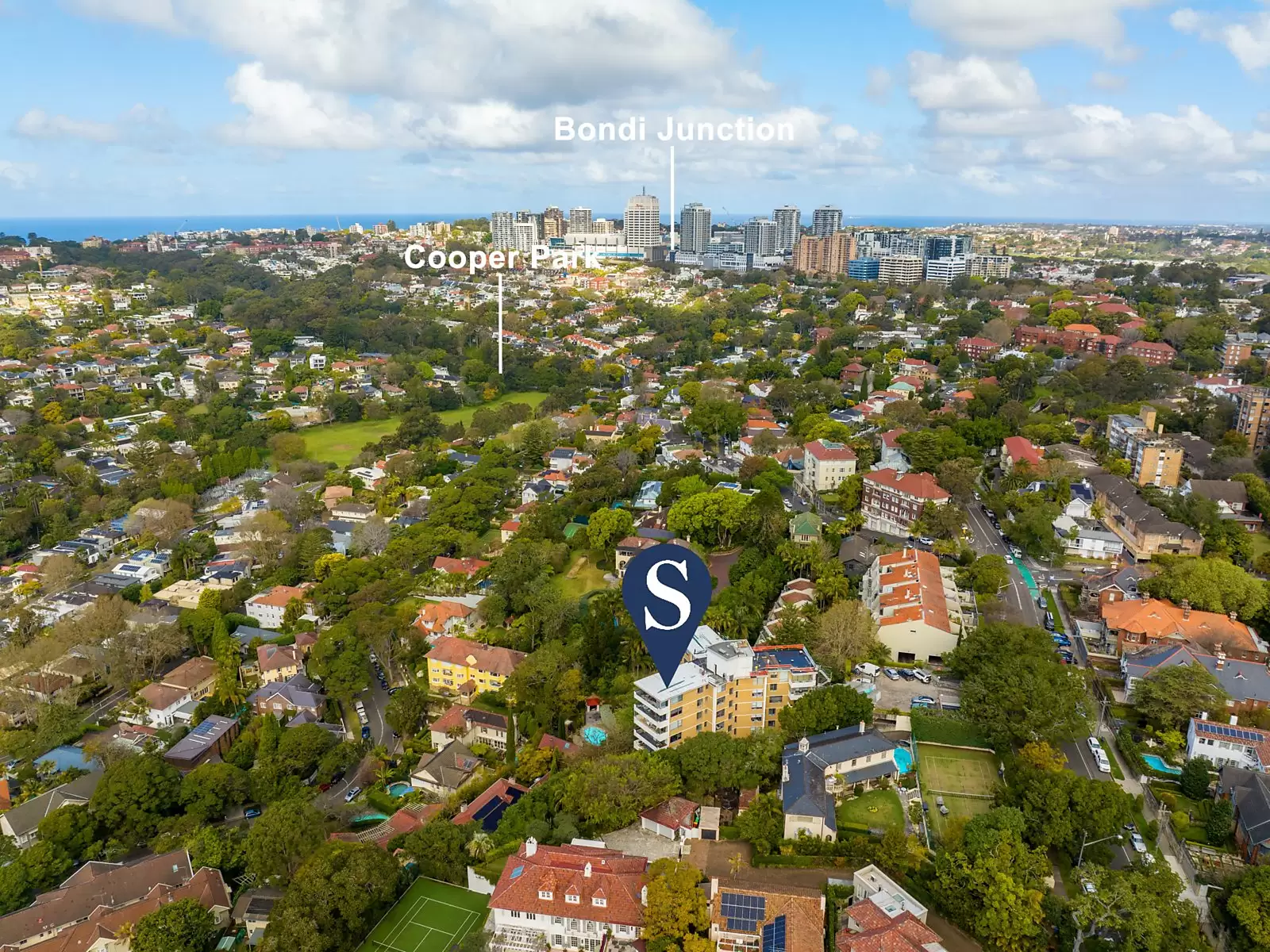 13/321 Edgecliff Road, Woollahra Sold by Sydney Sotheby's International Realty - image 19