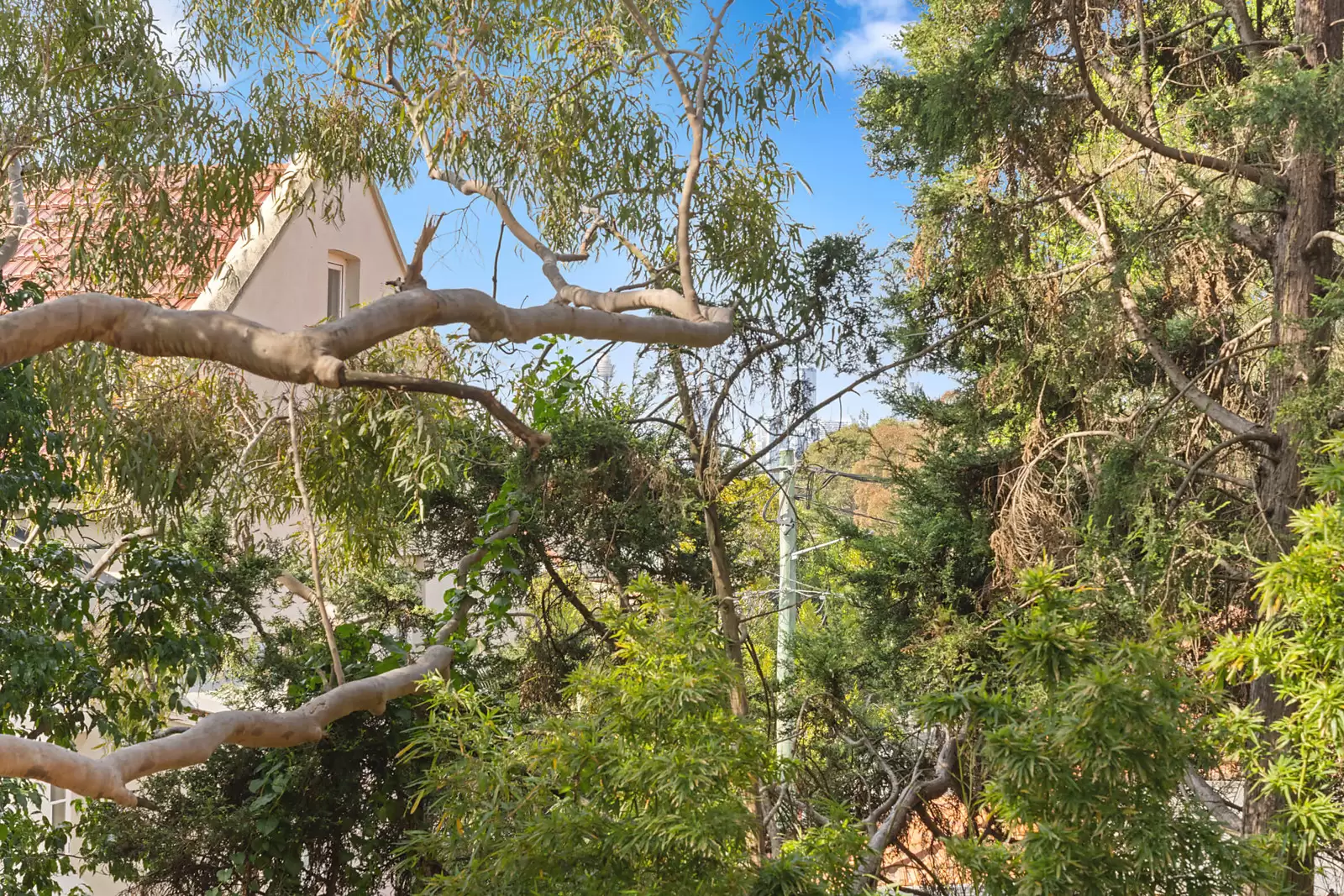 2/289 Stanmore Road, Petersham Sold by Sydney Sotheby's International Realty - image 10