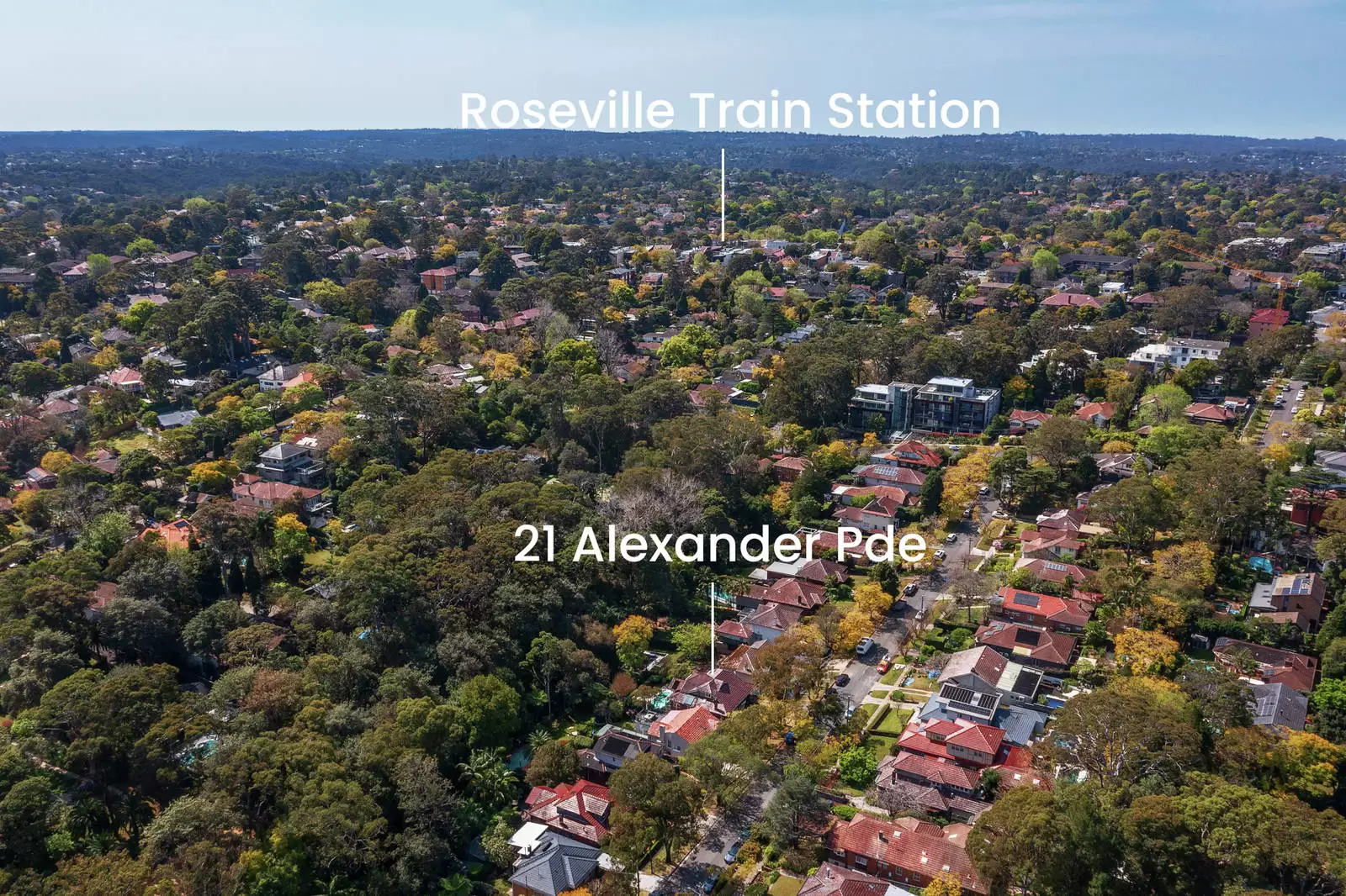 21 Alexander Parade, Roseville Sold by Sydney Sotheby's International Realty - image 23