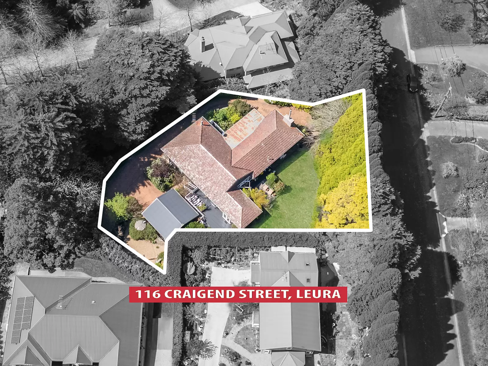 116 Craigend Street, Leura For Sale by Sydney Sotheby's International Realty - image 16