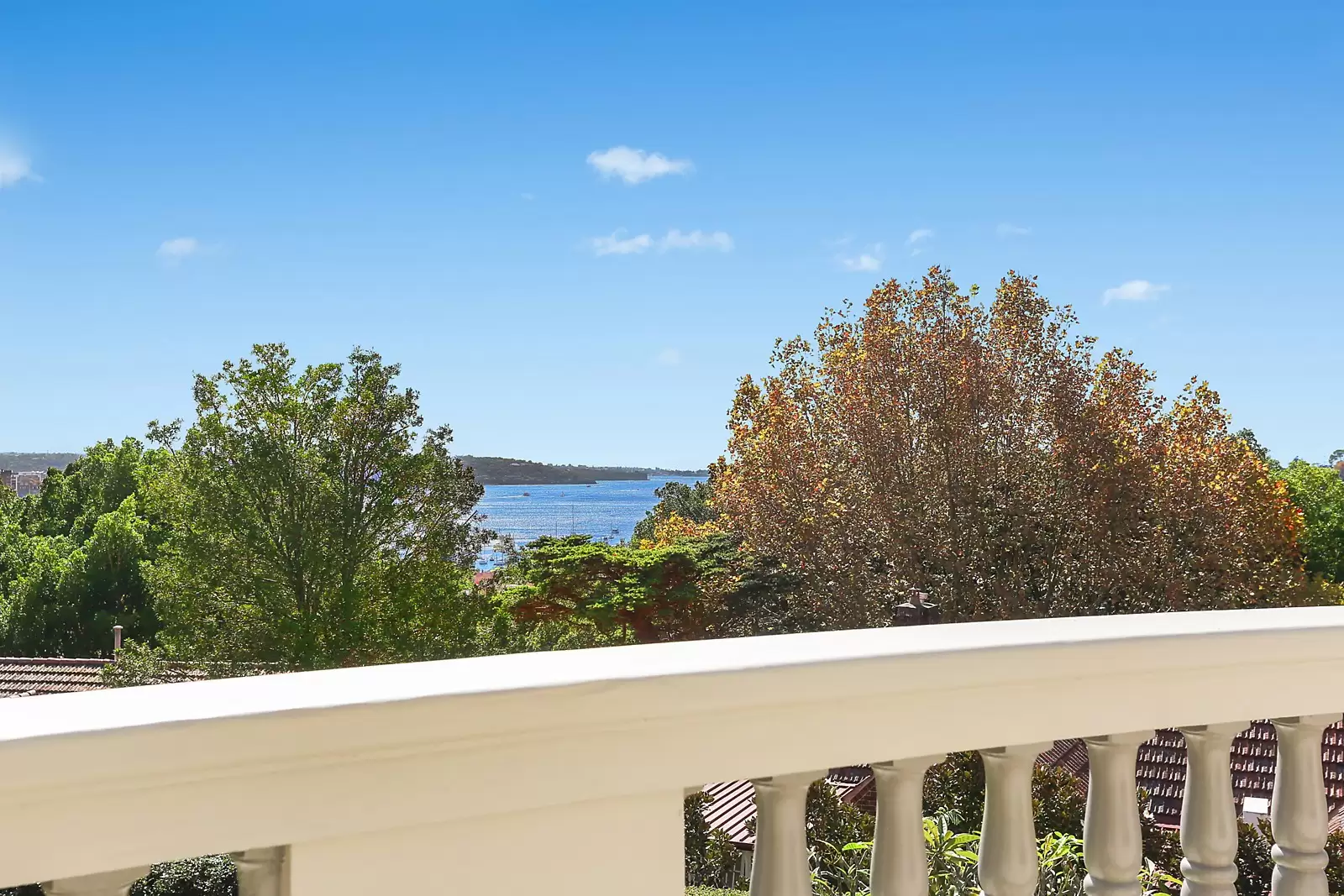 24 Albert Street, Edgecliff Sold by Sydney Sotheby's International Realty - image 8