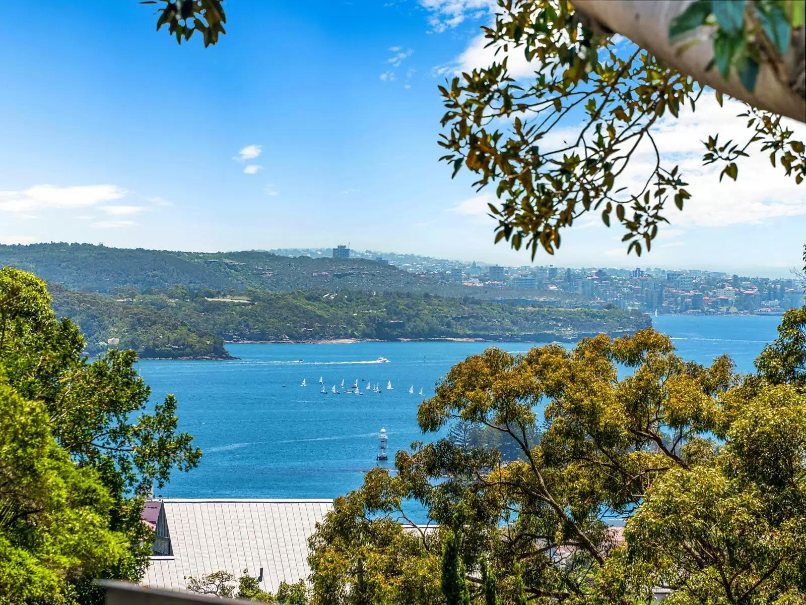 15B Ginahgulla Road, Bellevue Hill For Sale by Sydney Sotheby's International Realty - image 4