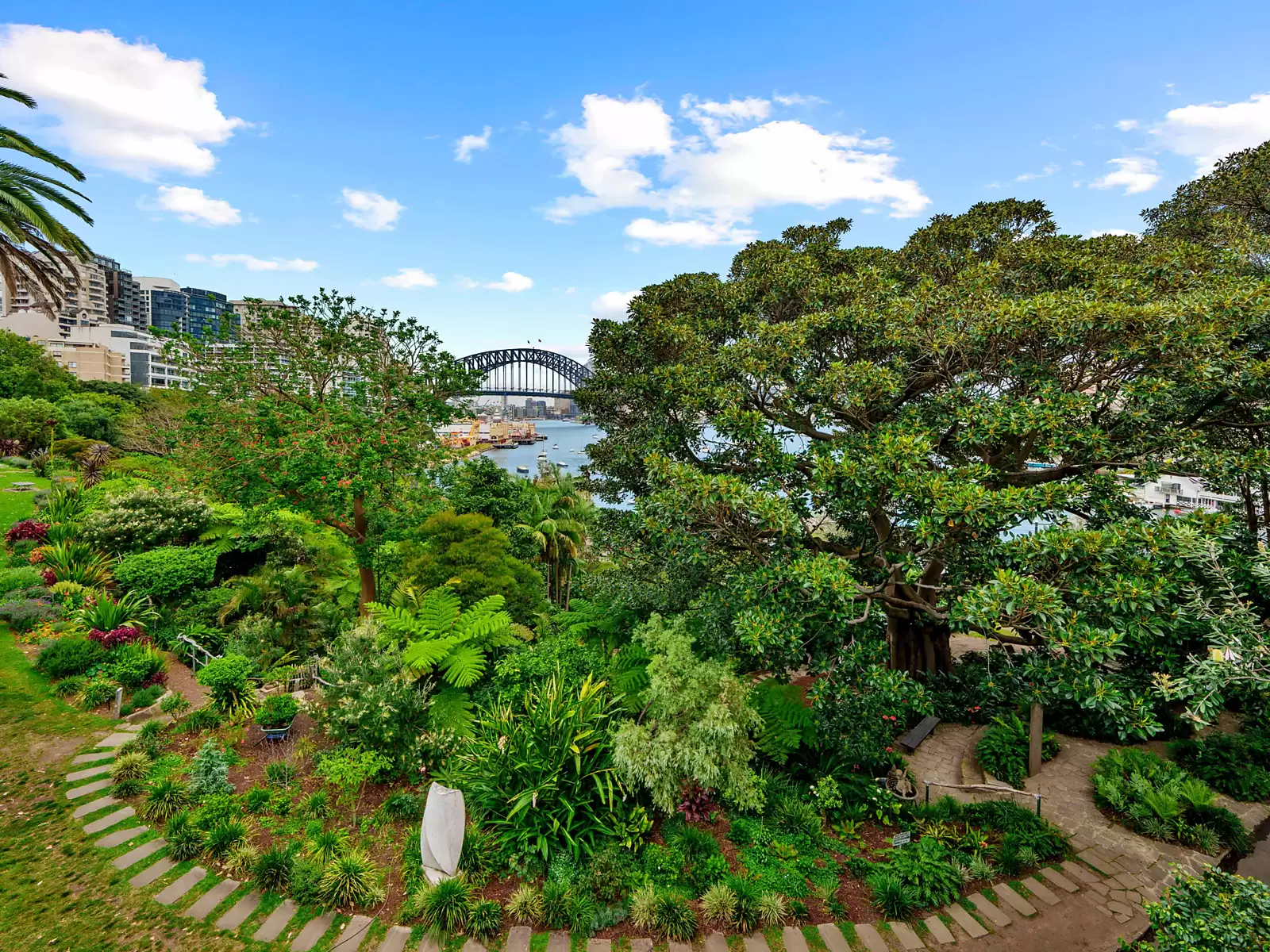 3 Walker Street, Lavender Bay Sold by Sydney Sotheby's International Realty - image 6