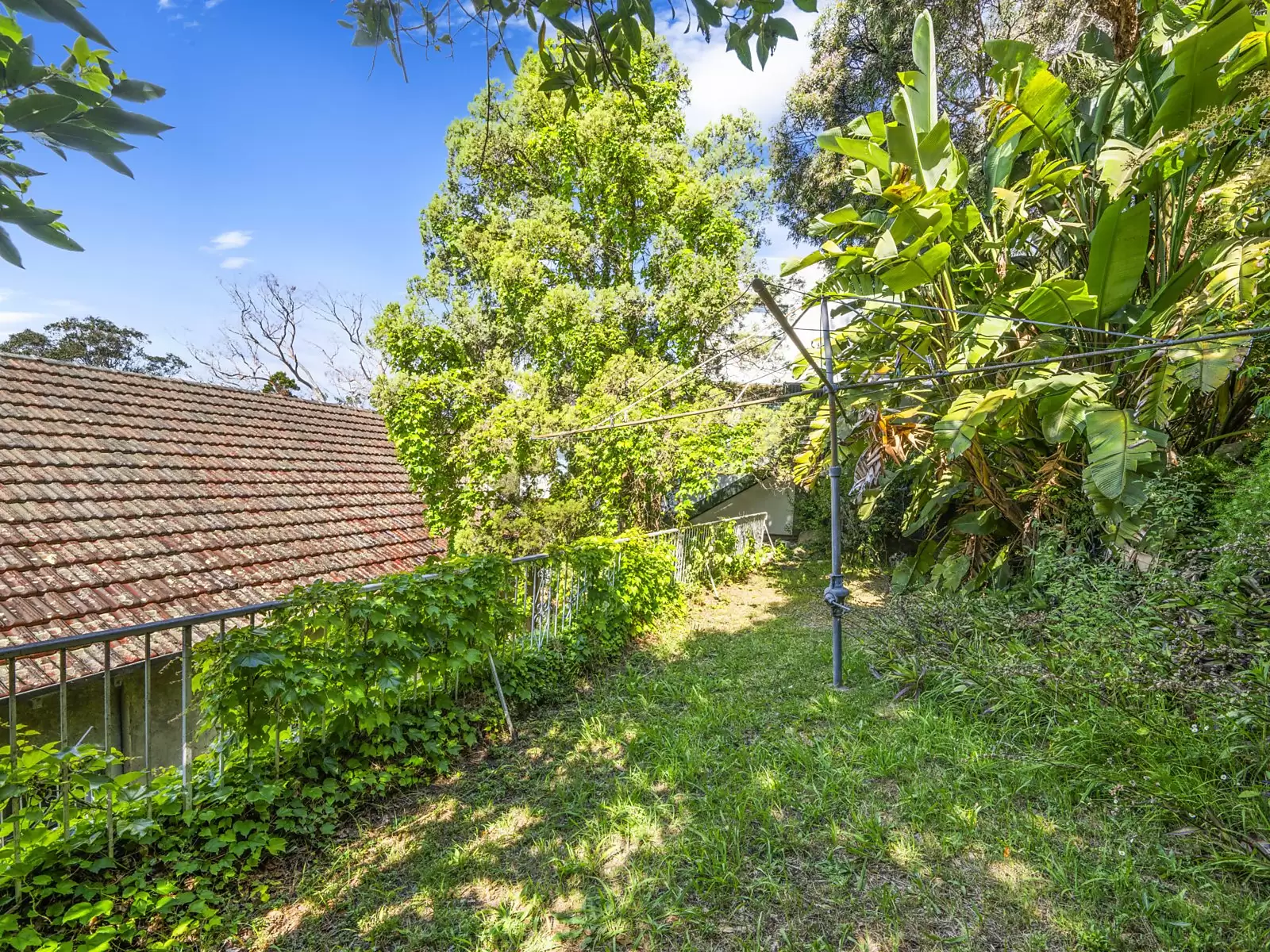 23 Olola Avenue, Vaucluse Sold by Sydney Sotheby's International Realty - image 8