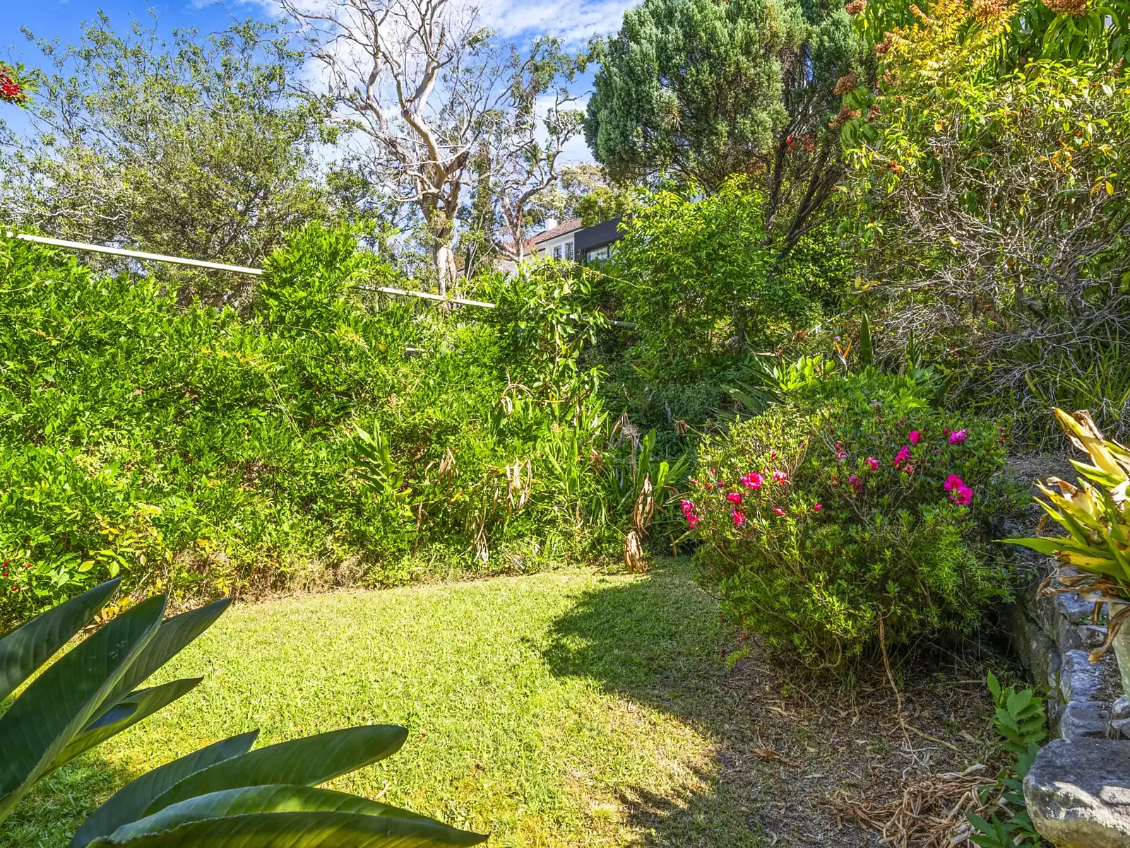 23 Olola Avenue, Vaucluse Sold by Sydney Sotheby's International Realty - image 7