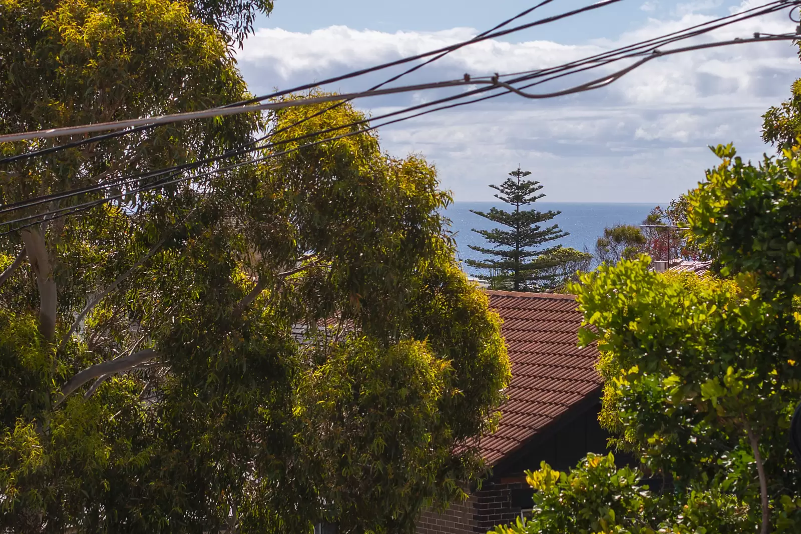 12 Coldstream Street, South Coogee Sold by Sydney Sotheby's International Realty - image 5