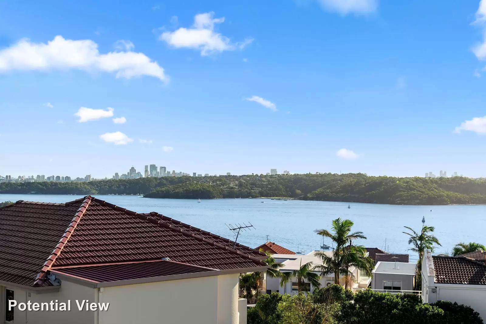 242A Old South Head Road, Vaucluse For Sale by Sydney Sotheby's International Realty - image 1