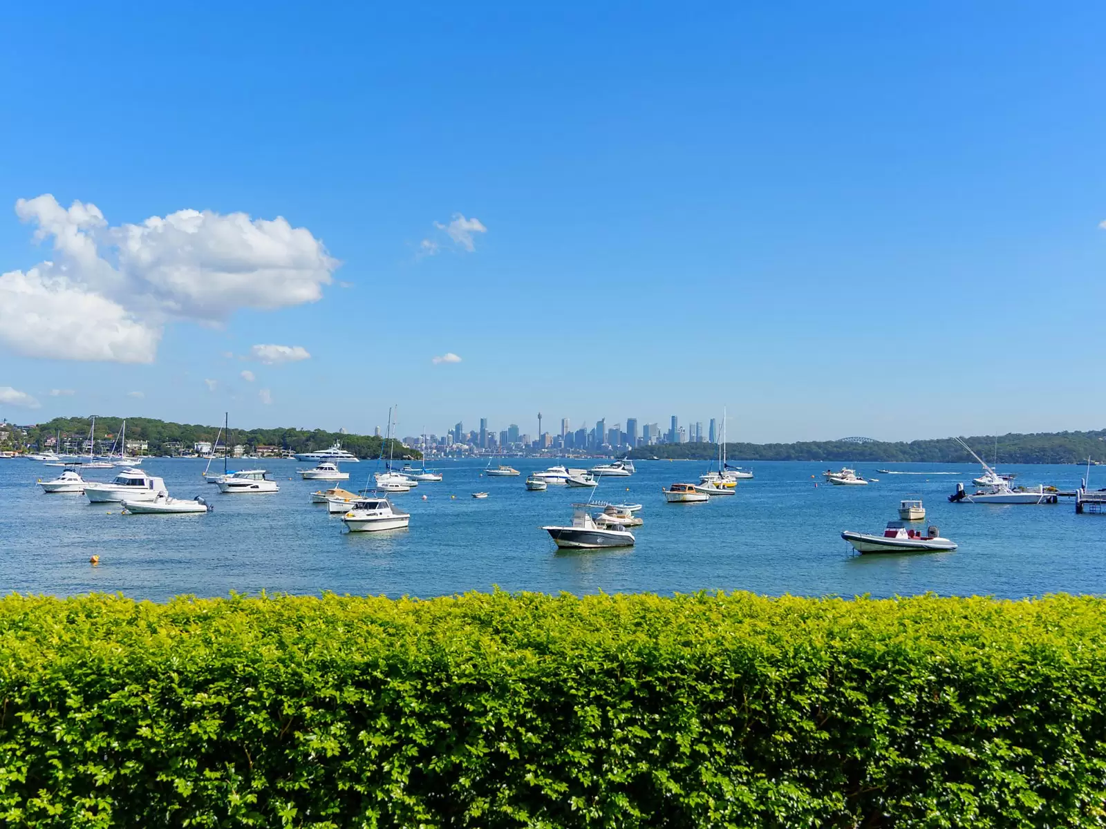 23 Marine Parade, Watsons Bay For Sale by Sydney Sotheby's International Realty - image 6