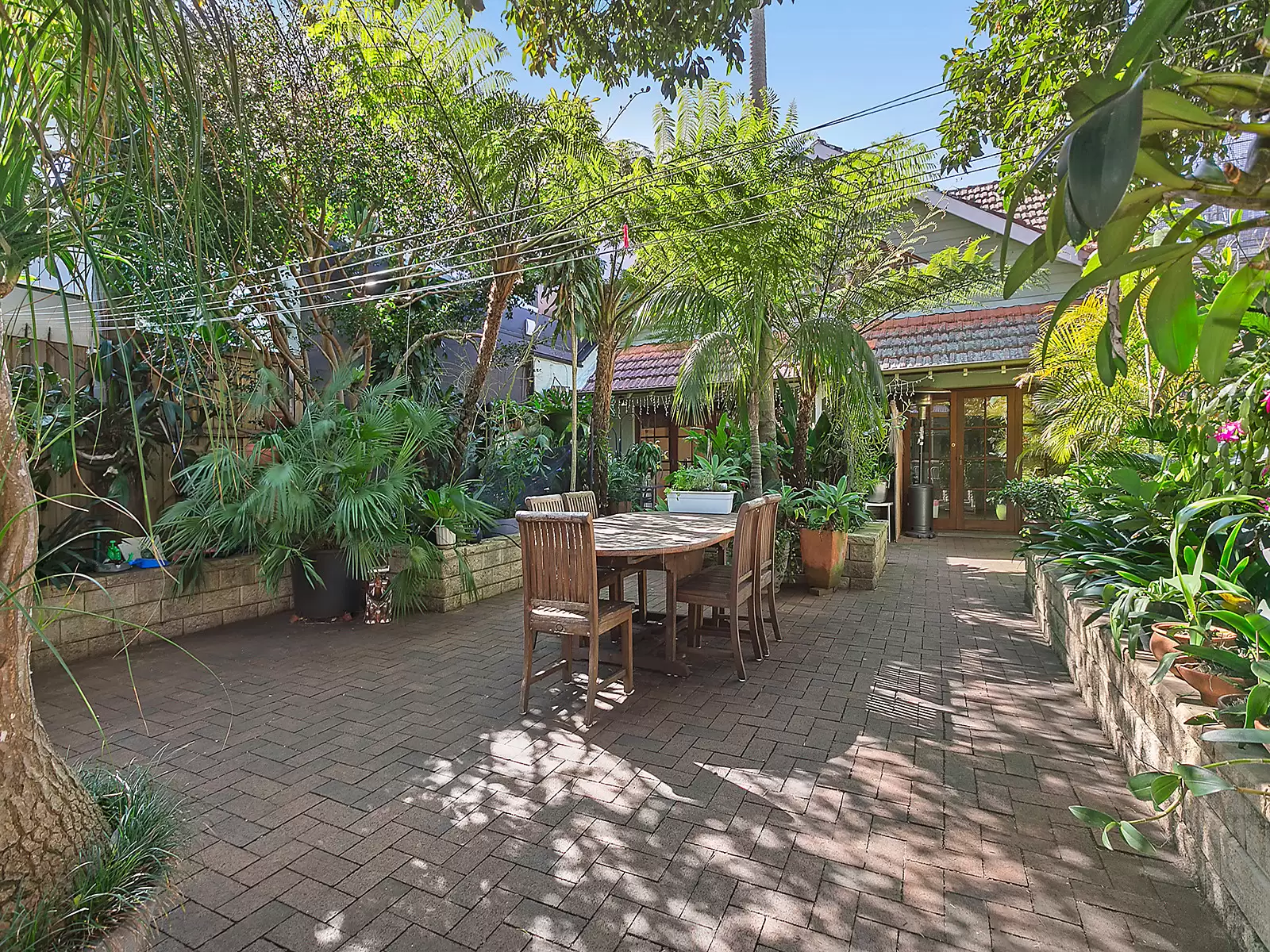 3 Courland Street, Randwick Sold by Sydney Sotheby's International Realty - image 7