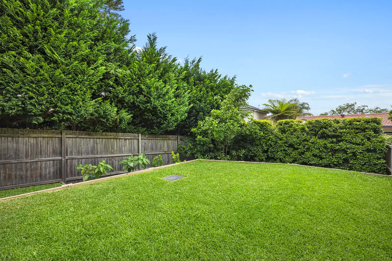 40a Creer Street, Randwick Sold by Sydney Sotheby's International Realty - image 7